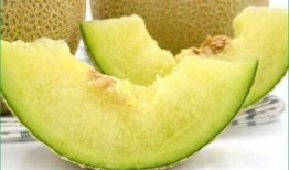 去瓜洲吃哈密瓜好吗,舌尖上的甜蜜之旅