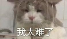 吃瓜娱奇葩,揭秘娱乐圈那些让人捧腹大笑的奇闻轶事