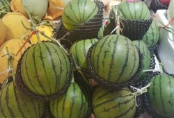 吃瓜程度,吃瓜群众深度解析