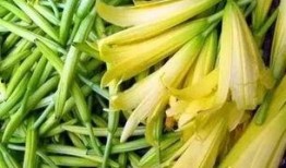 沛县丰乐吃瓜,一场别开生面的吃瓜盛宴