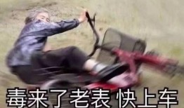 人猿吃瓜表情包,趣味横生的网络文化现象