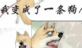 重生快乐吃瓜的小说