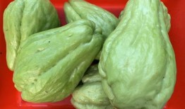新年吃瓜的视频,盘点年度热门视频