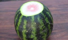 哥瑞利吃瓜,揭秘娱乐圈的“瓜田”趣事