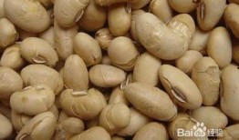 梦到吃瓜吃豆,瓜豆盛宴，揭秘潜意识中的美食诱惑