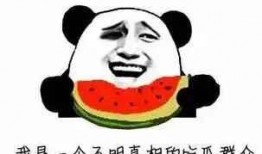 在线吃瓜语文,揭秘“在线吃瓜”背后的文化现象