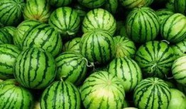 yoto群吃瓜,揭秘网络社交圈的趣味瞬间