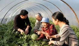 郑财学院吃瓜,吃瓜群众揭秘校园风云录