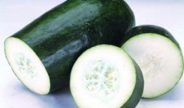 减肥吃吊瓜,天然低脂美食，轻松享瘦生活