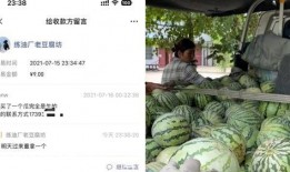 旋转会吃生瓜的瓜老板,瓜老板的奇幻瓜园之旅