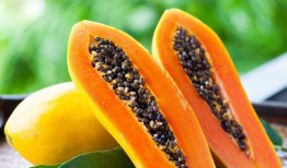 梧桐树下吃大瓜,共享夏日大瓜盛宴