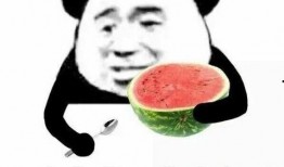 拜拜啦人间吃瓜群,揭秘网络社交圈的趣味与争议