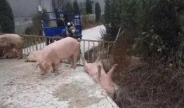 刚下飞机吃瓜,乘客抢镜吃瓜，现场画面曝光！