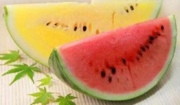 湿瓜怎么吃,教你轻松解锁多种食用方法