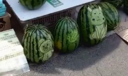 吃瓜回家地址,探寻网络热词背后的故事