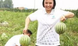 吃瓜群众组个队