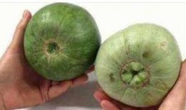 学会选瓜总是吃最甜的瓜,学会挑选，尽享甜蜜滋味