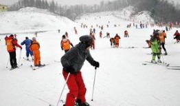 将军桥滑雪吃瓜,一场冰雪盛宴中的吃瓜趣事