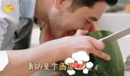 吃瓜儿子不吐皮,揭秘瓜界新潮流