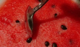 艺芝吃瓜,揭秘娱乐圈背后的那些事儿