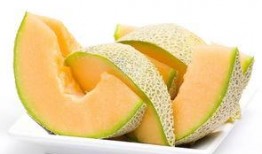 小猫吃哈密瓜呕吐