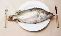 江鱼吃瓜队长,揭秘网络红人的魅力与影响力