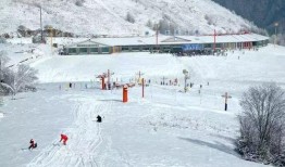 将军桥滑雪吃瓜,一场冰雪盛宴中的吃瓜趣事