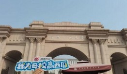 吃瓜科技学院,揭秘校园里的科技热点与趣味故事
