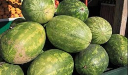 夏天吃生瓜,生瓜美食探秘