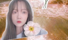 考完试综艺吃瓜,综艺吃瓜，揭秘明星幕后趣事