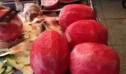 诗经吃瓜,古韵悠长的食文化探寻