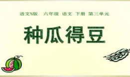 在线吃瓜语文,揭秘“在线吃瓜”背后的文化现象