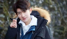 吃瓜考古王源,吃瓜考古背后的青春偶像成长记