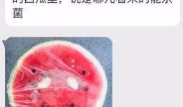 吃瓜系统蜜桃,揭秘吃瓜系统背后的甜蜜秘密