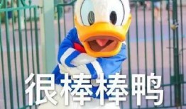 正义鸭鸭鸭吃瓜链接