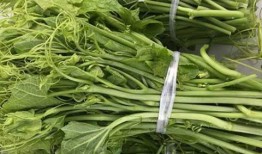 胡子瓜可以吃吗,揭秘其食用价值与食用方法