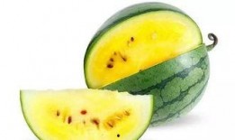 沙瓜比脆瓜好吗怎么吃,如何挑选与享用最佳夏日水果