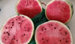 临夏麒麟瓜怎么吃,多味食法，尽享夏日清新