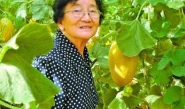 宫教授吃瓜,一场别开生面的吃瓜盛宴