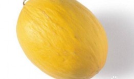 去瓜洲吃哈密瓜好吗,舌尖上的甜蜜之旅