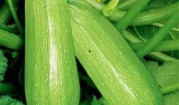 6080吃瓜,揭秘娱乐圈背后的那些事儿