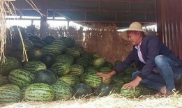 昆明民院吃瓜,校园风云再起，真相揭秘