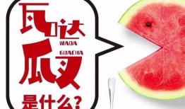 吃瓜看抖音,揭秘短视频世界的趣味与真相