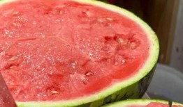 吃瓜程度,吃瓜群众深度解析