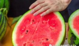 校园吃瓜,揭秘校园里的那些“瓜”