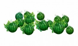 阿奥吃瓜,揭秘娱乐圈幕后故事