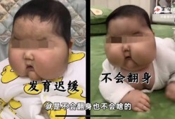吃瓜儿子不吐皮,揭秘瓜界新潮流