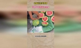 旋转会吃生瓜的瓜老板,瓜老板的奇幻瓜园之旅