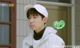 吃瓜考古王源,吃瓜考古背后的青春偶像成长记