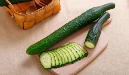 夏天吃生瓜,生瓜美食探秘
